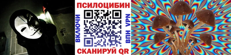 где купить   Щигры  ОМГ ОМГ вход  Псилоцибиновые грибы прущие грибы 