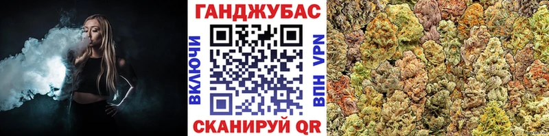 Конопля конопля  где купить наркоту  Щигры 